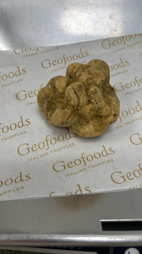 White Truffle