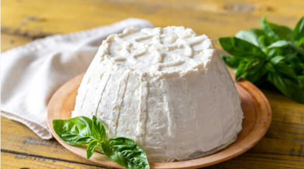 Cow Ricotta